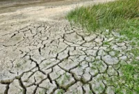 Sejumlah Desa di Sumenep Alami Kekeringan. (Pixabay.com/JodyDellDavis)