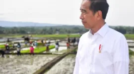 Presiden RI Joko Widodo. (Instagram.com/@jokowi)