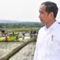 Presiden RI Joko Widodo. (Instagram.com/@jokowi)
