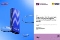 SCIE Menunjukkan HILO WAVE® Mendukung Regenerasi Struktur Kulit Tanpa Memicu Respons Peradangan