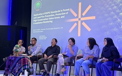 Toleransi Nol Terhadap Pembakaran: RSPO Memperkuat Standar Ketat Tanpa Pembakaran Toleransi Nol Terhadap Pembakaran: RSPO Memperkuat Standar Ketat Tanpa Pembakaran